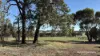 253 Graham Road, Dumberning, WA 6312-Image