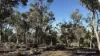 253 Graham Road, Dumberning, WA 6312-Image