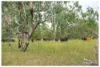 253 Hunt Road, Alton Downs QLD 4702-Image