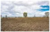 253 Hunt Road, Alton Downs QLD 4702-Image
