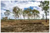 253 Hunt Road, Alton Downs QLD 4702-Image
