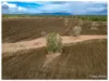 253 Hunt Road, Alton Downs QLD 4702-Image