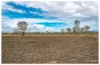 253 Hunt Road, Alton Downs QLD 4702-Image