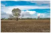 253 Hunt Road, Alton Downs QLD 4702-Image