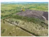 253 Hunt Road, Alton Downs QLD 4702-Image