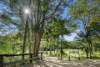 255, Chowan Creek NSW 2484-Image