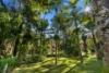 255, Chowan Creek NSW 2484-Image