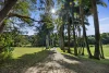 255 Chowan Creek Road, Chowan Creek, NSW 2484
