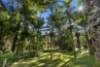 255 Chowan Creek Road, Chowan Creek, NSW 2484-Image