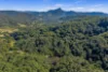 255 Chowan Creek Road, Chowan Creek, NSW 2484-Image