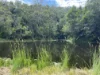 255 Chowan Creek Road, Chowan Creek, NSW 2484-Image