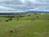 255 Gurrundah Road, Goulburn, NSW 2580-Image