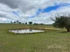 255 Gurrundah Road, Goulburn, NSW 2580-Image