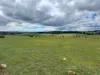 255 Gurrundah Road, Goulburn, NSW 2580-Image