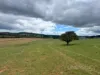 255 Gurrundah Road, Goulburn, NSW 2580-Image