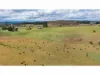 255 Gurrundah Road, Goulburn, NSW 2580-Image