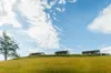 256 Careys Road, West Kentish, Tas 7306-Image