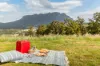 256 Careys Road, West Kentish, Tas 7306-Image