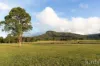 256 Mill Lane, Quorrobolong, NSW 2325-Image
