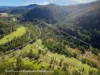 256 Olney Arm Road, Laguna, NSW 2325