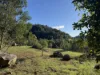 256 Olney Arm Road, Laguna, NSW 2325-Image