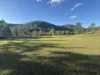 256 Olney Arm Road, Laguna, NSW 2325-Image