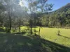 256 Olney Arm Road, Laguna, NSW 2325-Image