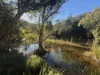 256 Olney Arm Road, Laguna, NSW 2325-Image