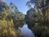 256 Olney Arm Road, Laguna, NSW 2325-Image