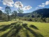256 Olney Arm Road, Laguna, NSW 2325-Image