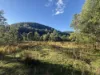 256 Olney Arm Road, Laguna, NSW 2325-Image