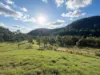 256 Olney Arm Road, Laguna, NSW 2325-Image