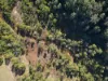 256 Olney Arm Road, Laguna, NSW 2325-Image