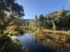 256 Olney Arm Road, Laguna, NSW 2325-Image