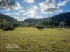 256 Olney Arm Road, Laguna, NSW 2325-Image