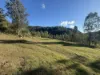 256 Olney Arm Road, Laguna, NSW 2325-Image