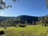 256 Olney Arm Road, Laguna, NSW 2325-Image
