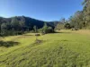 256 Olney Arm Road, Laguna, NSW 2325-Image