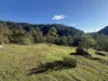 256 Olney Arm Road, Laguna, NSW 2325-Image