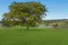 256, Veresdale Scrub QLD 4285-Image