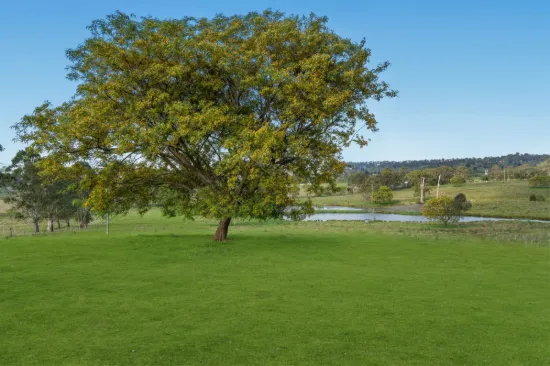 256, Veresdale Scrub QLD 4285-Image