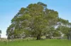 256, Veresdale Scrub QLD 4285-Image