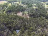 2589 Clarence Way, Upper Copmanhurst, NSW 2460-Image