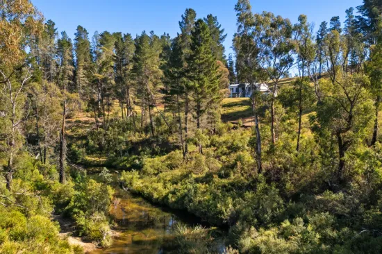 259 Corang Post Office Road, Braidwood, NSW 2622