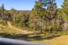 259 Corang Post Office Road, Braidwood, NSW 2622-Image