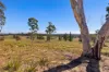 259 Corang Post Office Road, Braidwood, NSW 2622-Image