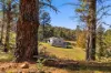 259 Corang Post Office Road, Braidwood, NSW 2622-Image
