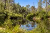 259 Corang Post Office Road, Braidwood, NSW 2622-Image