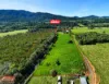 259  DINNER CREEK RD,, Eubenangee, Qld 4860-Image