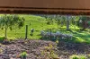 26 Day Road, Wattle Flat, SA 5203-Image